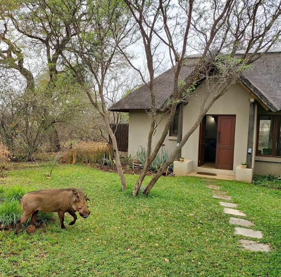 13 Raptors Lodge Hoedspruit Extérieur photo